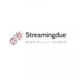 streamingdue logo